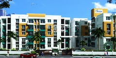 Bren Palms