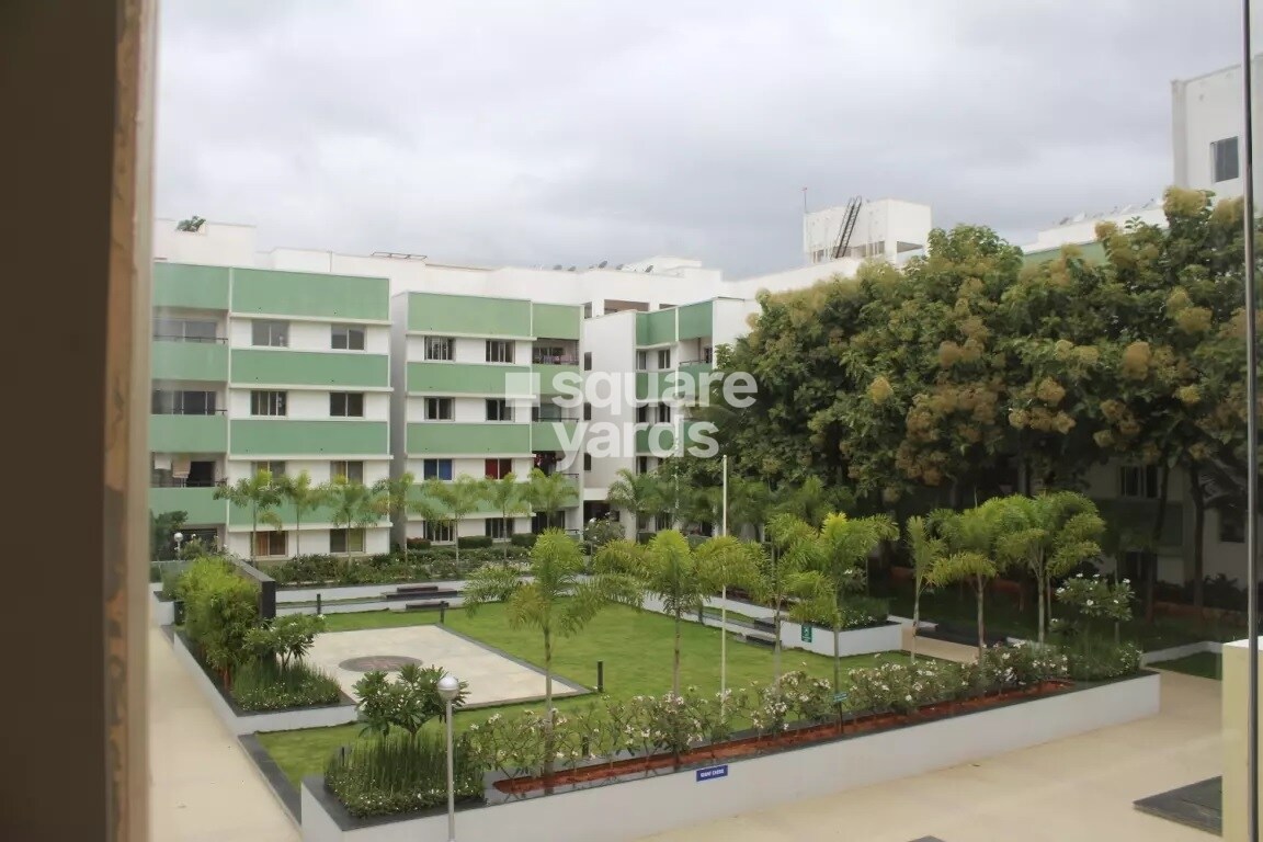 Bren Woods Tower View 2