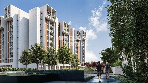 Bricks and Milestones Wonderwall Tower View 8