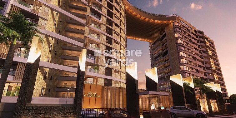 Brigade Caladium Cover Image