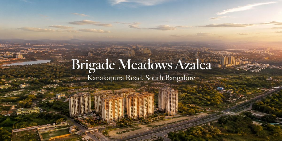 Brigade Meadows Azalea