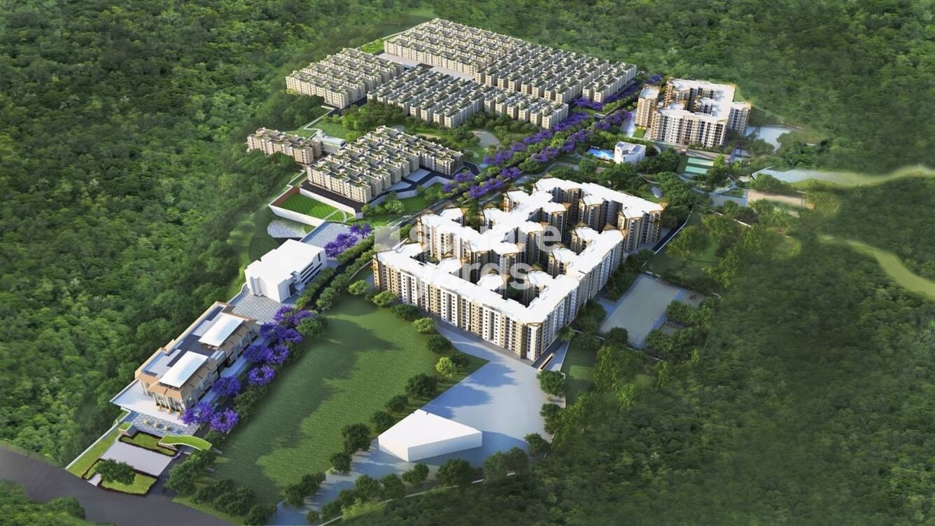 Brigade Meadows Basil Tower View 1