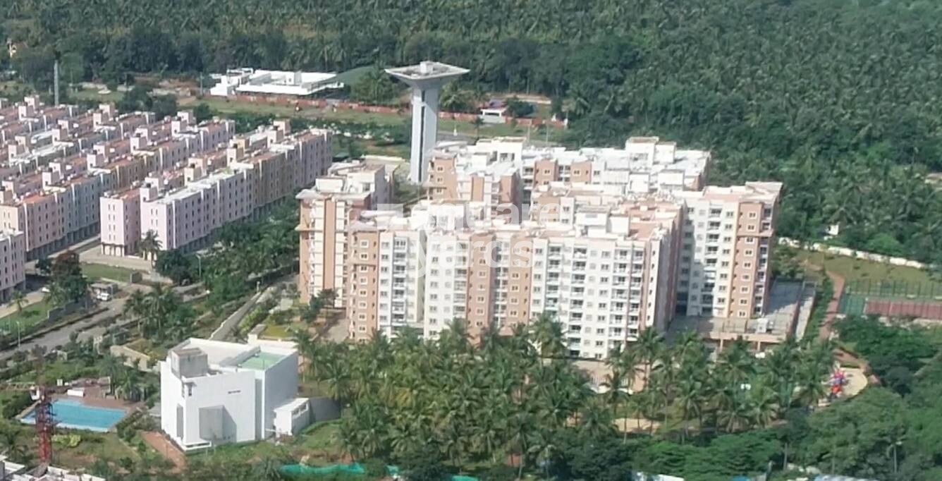 Brigade Meadows Basil Tower View 3