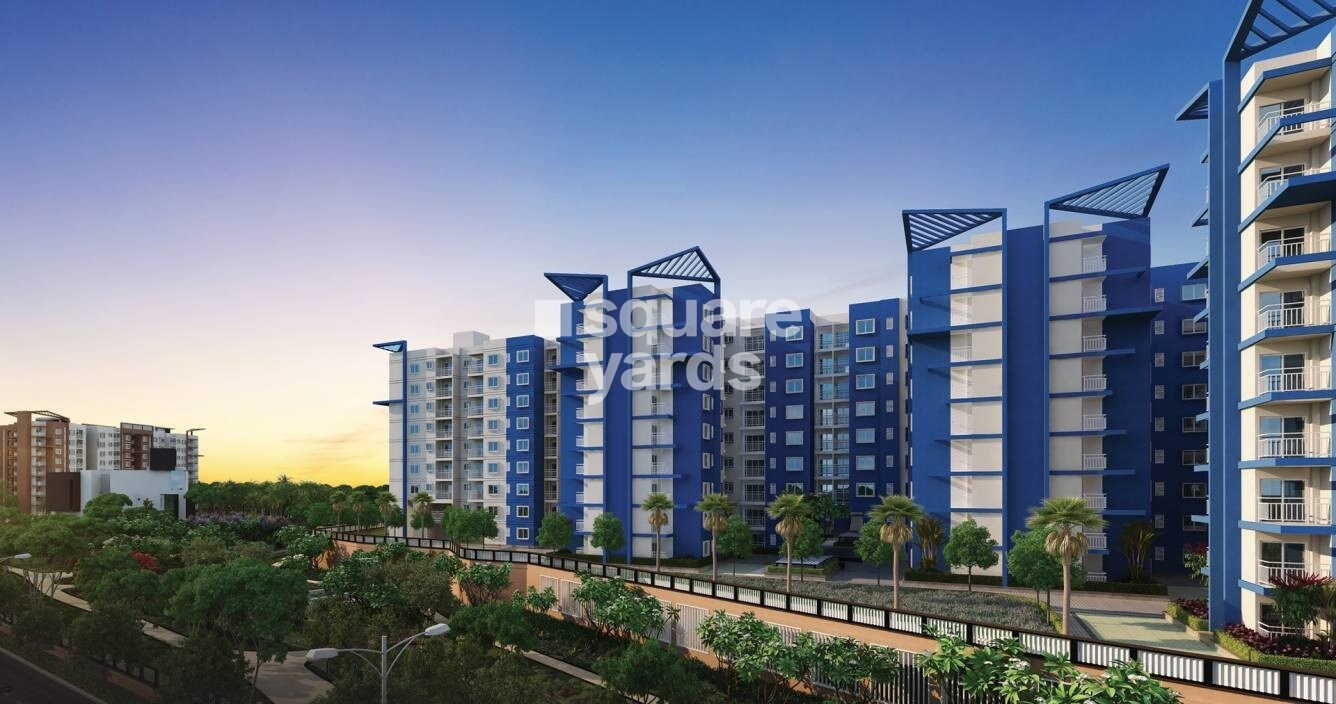 Brigade Meadows Basil Tower View 4