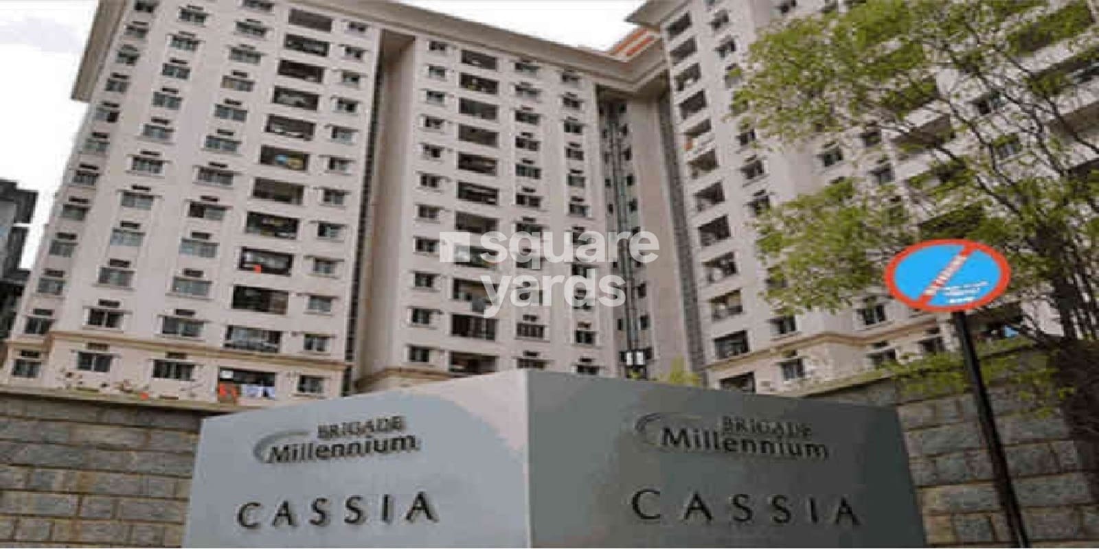 Brigade Millennium Cassia