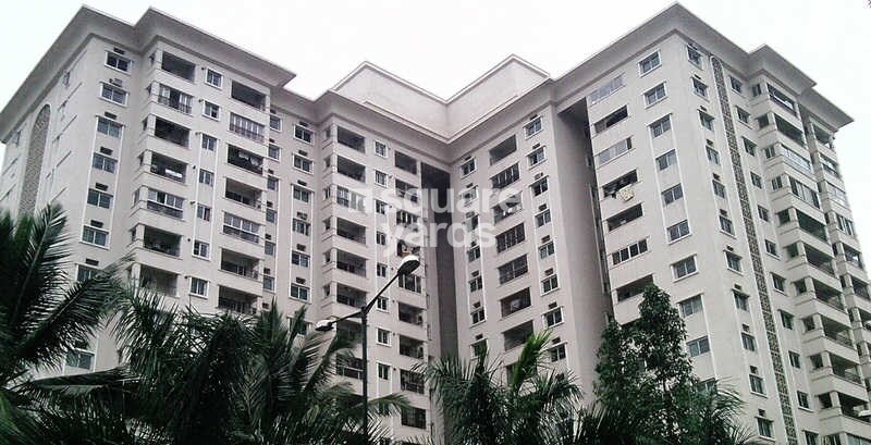 Brigade Millennium Cassia