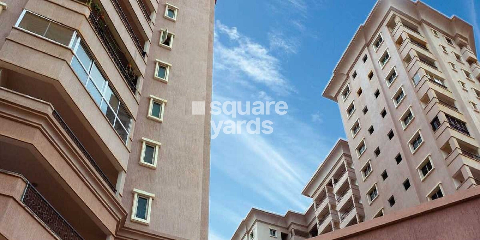 Brigade Millennium Laburnum Featured Image