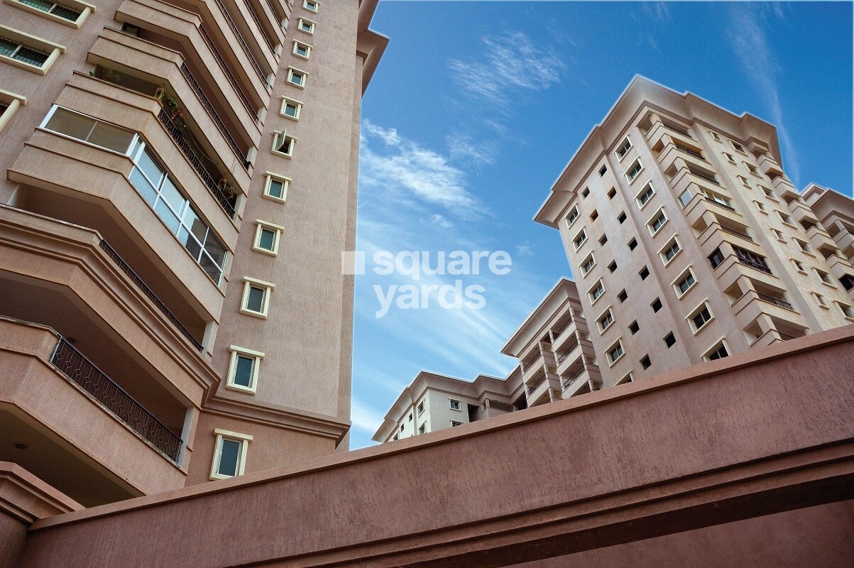 Brigade Millennium Laburnum