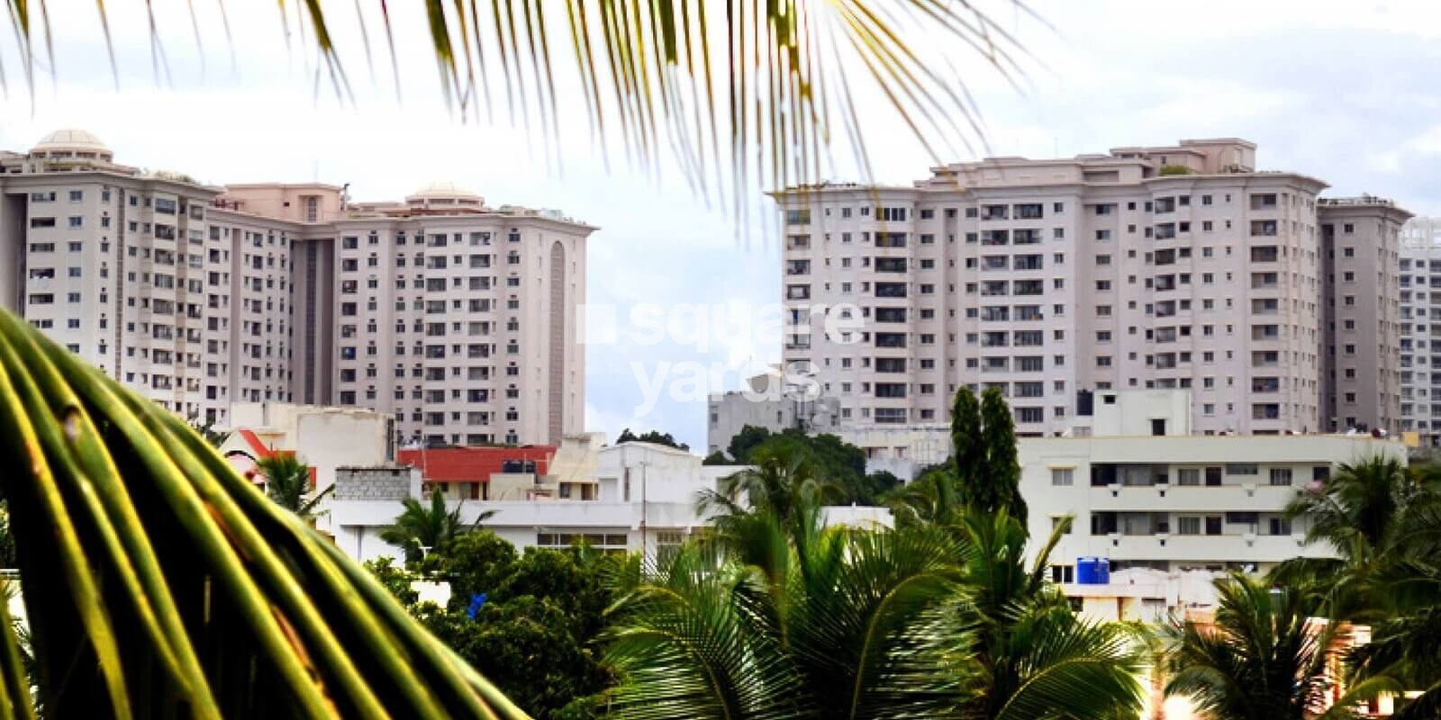 Brigade Millennium Magnolia Featured Image