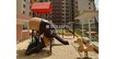 Brigade Northridge Phase II Amenities Features