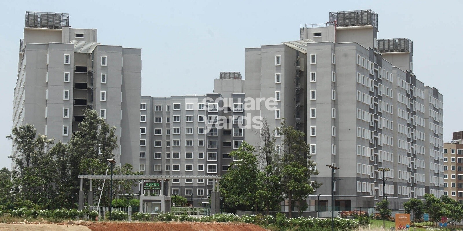 Brigade Orchards Banyan