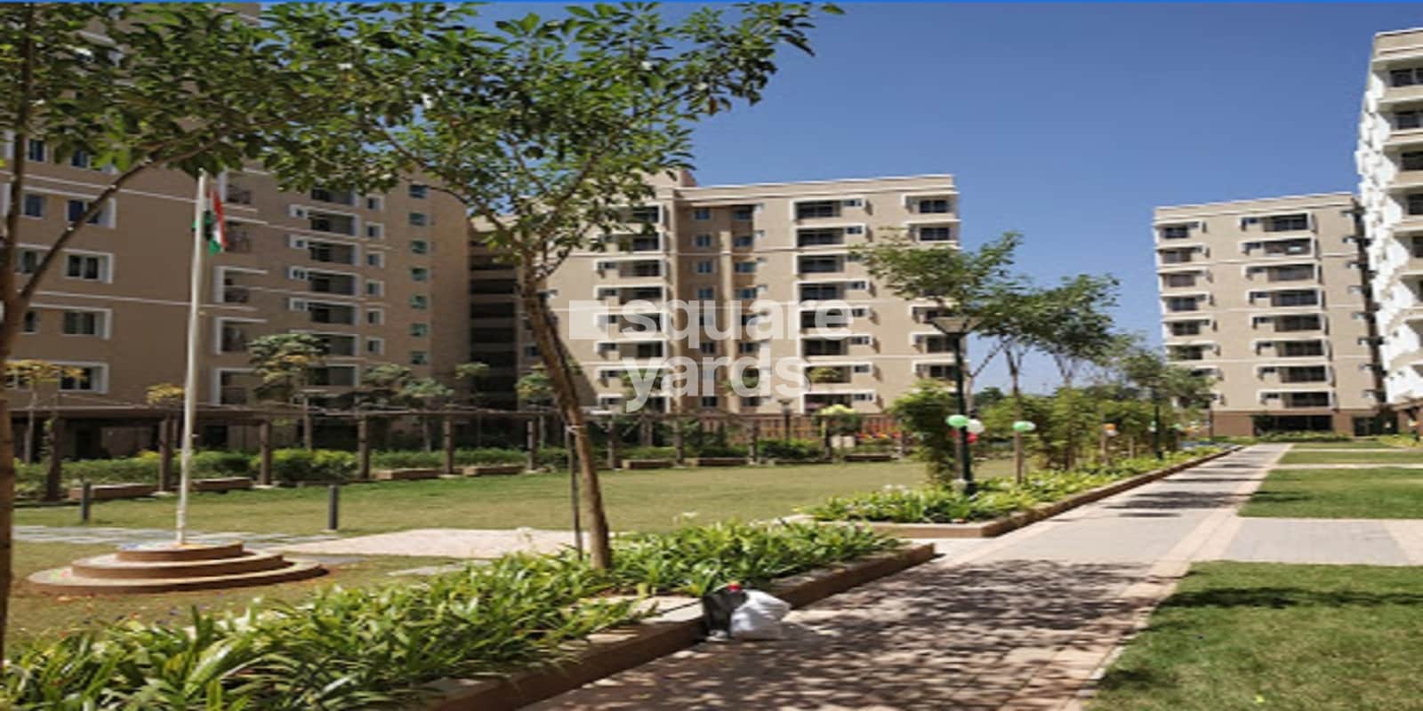 Brigade Orchards Deodar