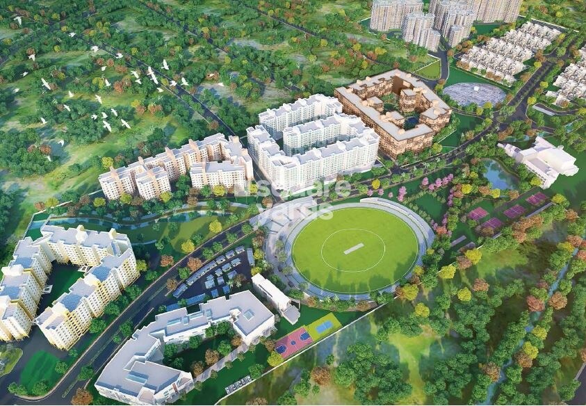 Brigade Orchards Deodar