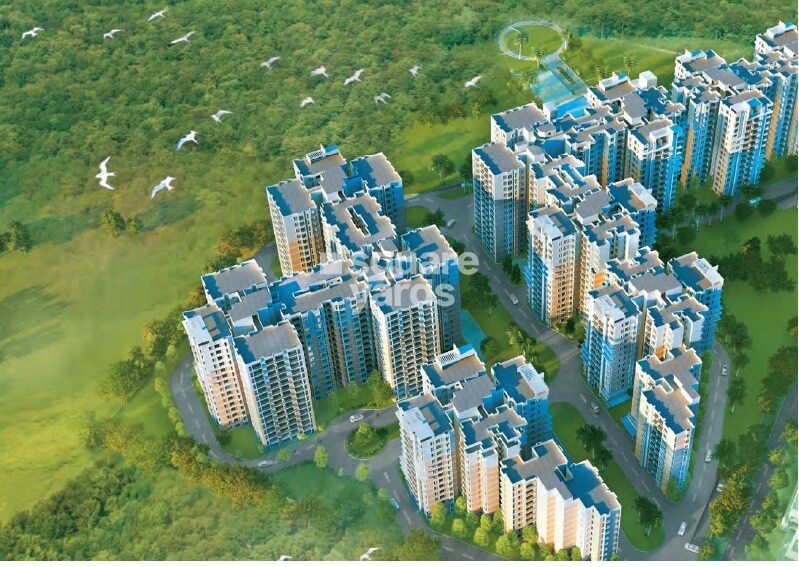 Brigade Orchards Juniper