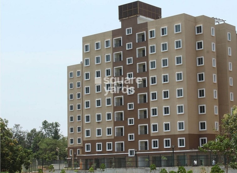 Brigade Orchards Tower View 9