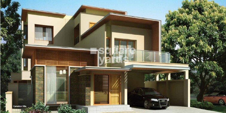 Brigade Orchards Tower View 13