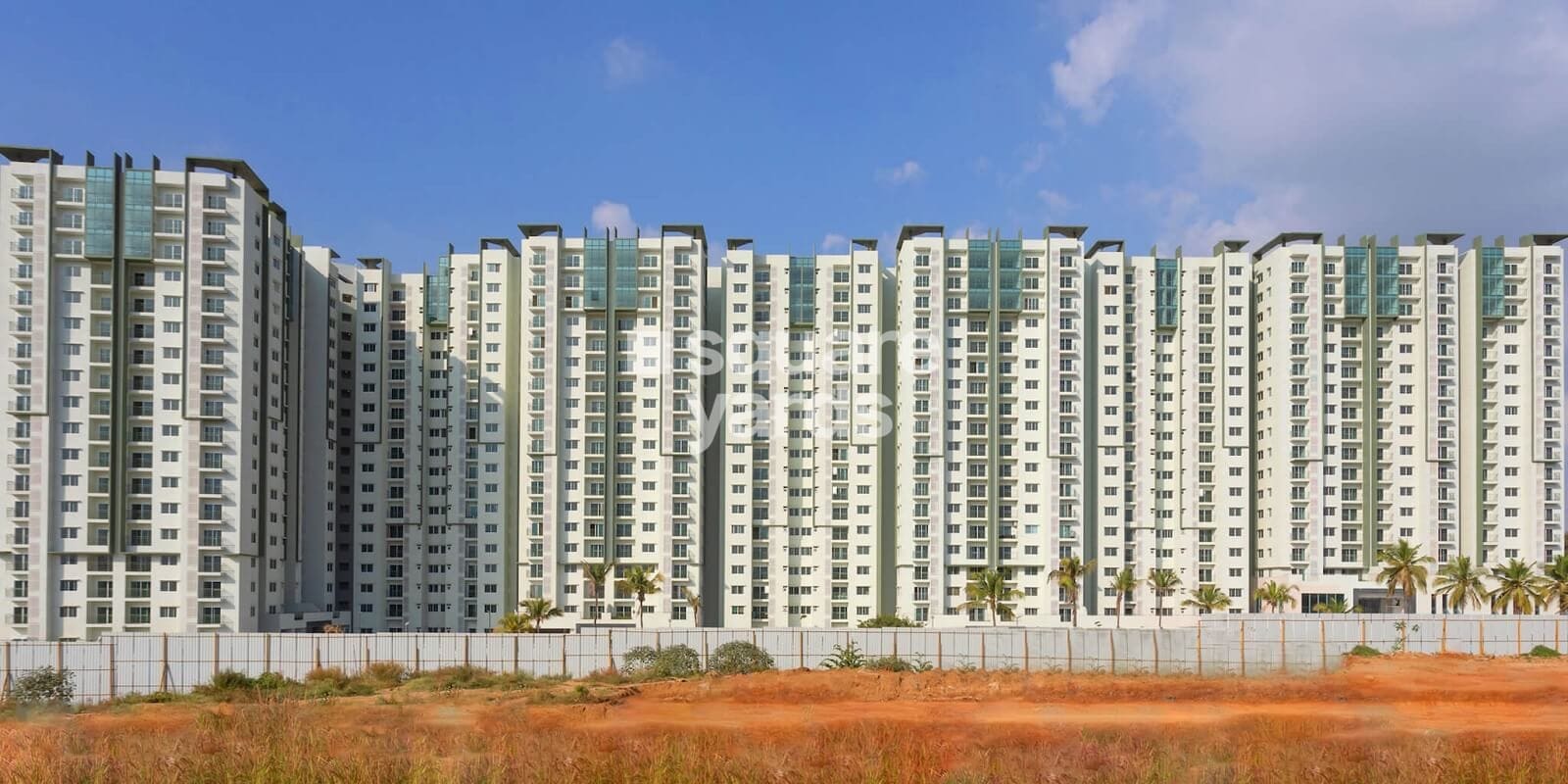 Brigade Panorama Cover Image