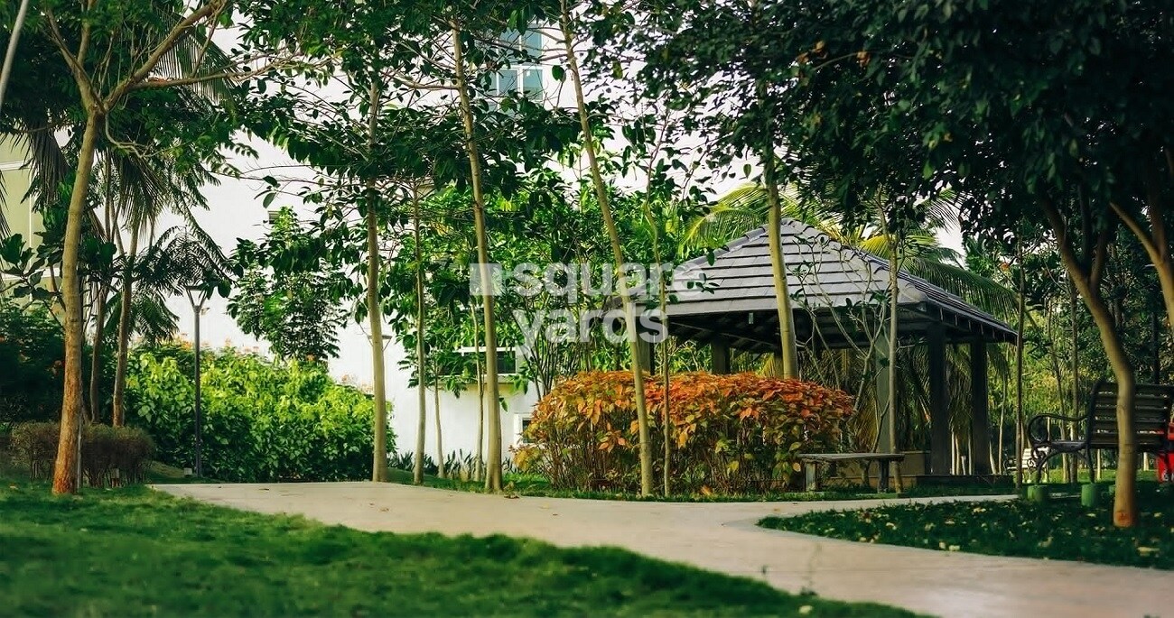 Brigade Plumeria Lifestyle Greens Image