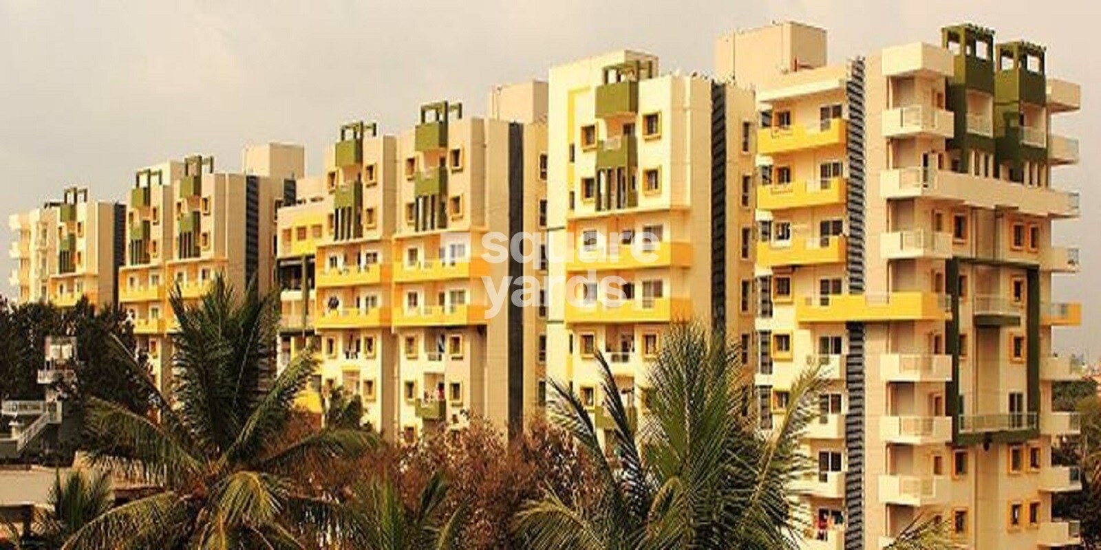 Brindavan Palms