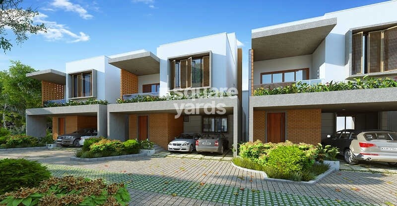 BSR Dain Tree Tower View