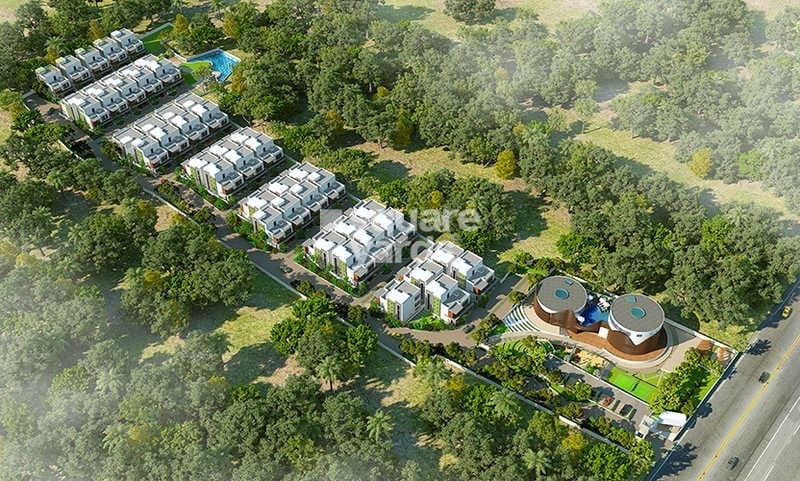 BSR Dain Tree Tower View