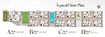 Build Felicity Oasis Floor Plans