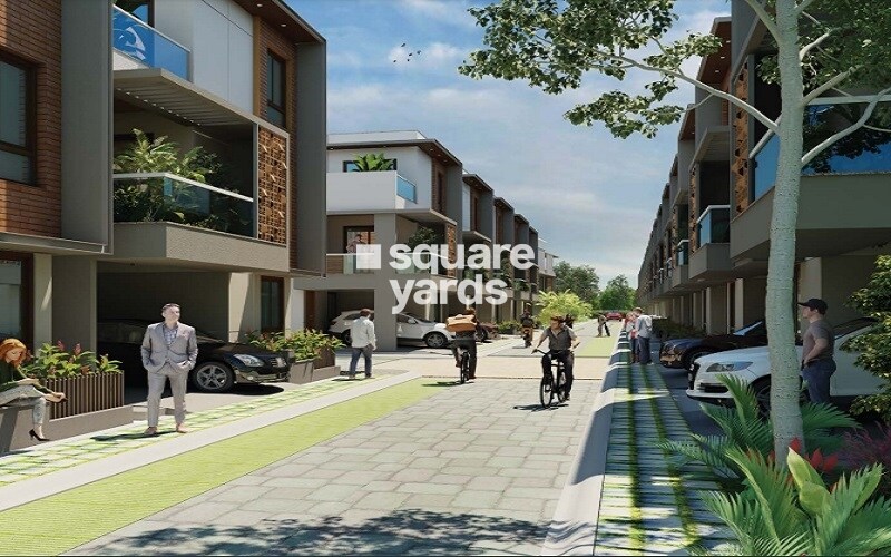 Buildiko Spring Woods