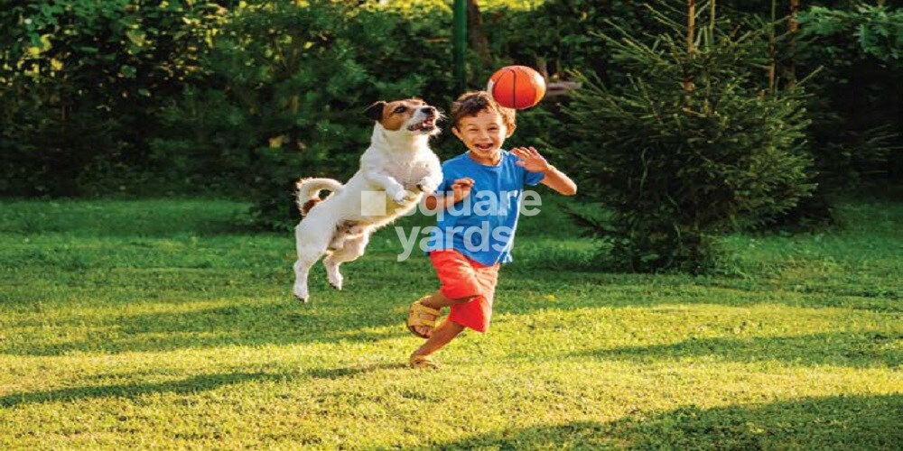 Buildiko Spring Woods Amenities-Features 7