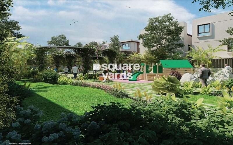 Buildiko Spring Woods