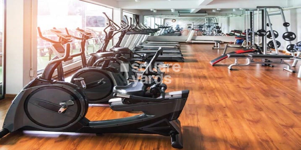 Buildiko Spring Woods Gymnasium Image