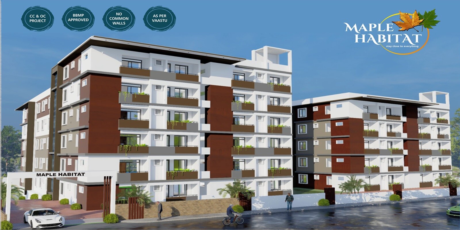 BV Maple Featured Image