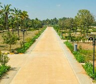 BVL Coco Aldea Rivatani Plot Images