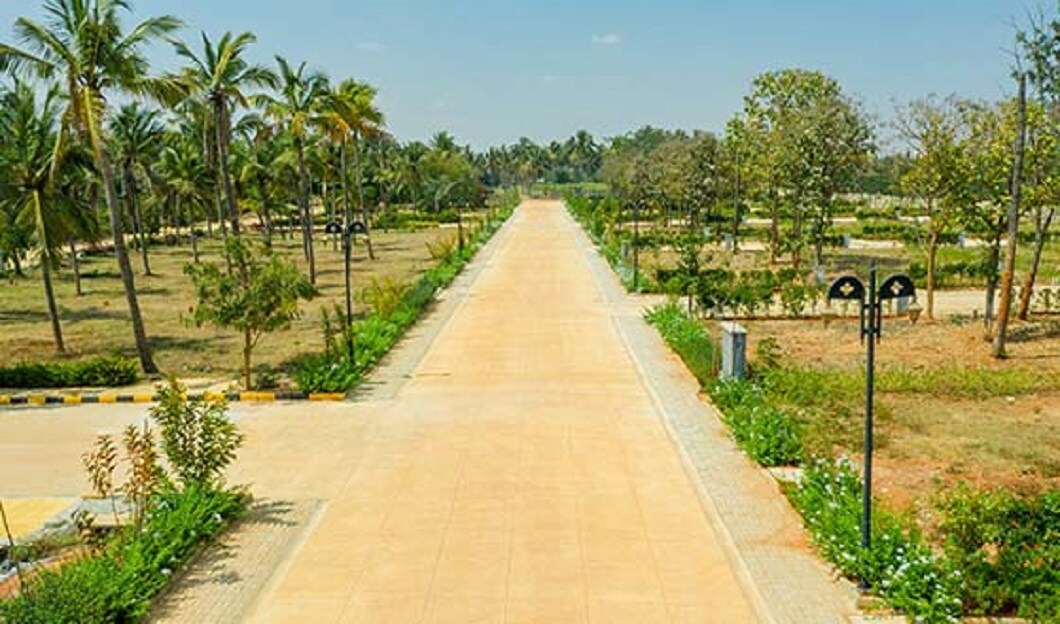 BVL Coco Aldea Rivatani