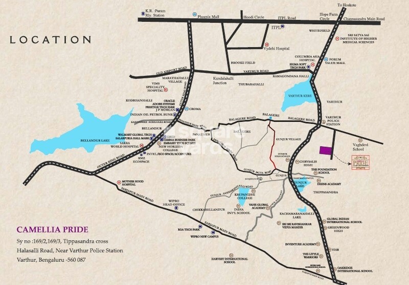 Camellia Pride Location Image