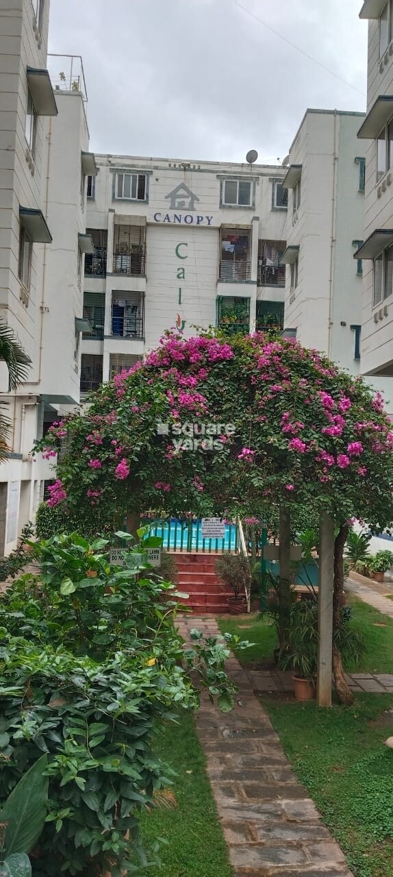 Canopy Calyx Apartment Exteriors