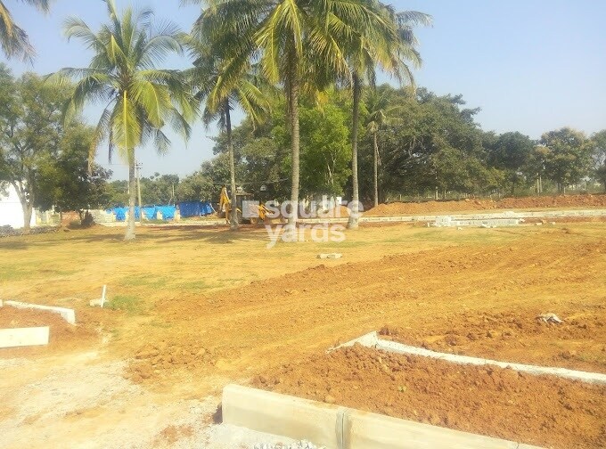 Caroline Springs Plot