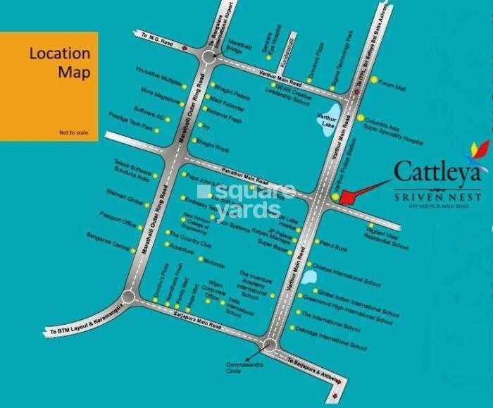 Cattleya Sriven Nest