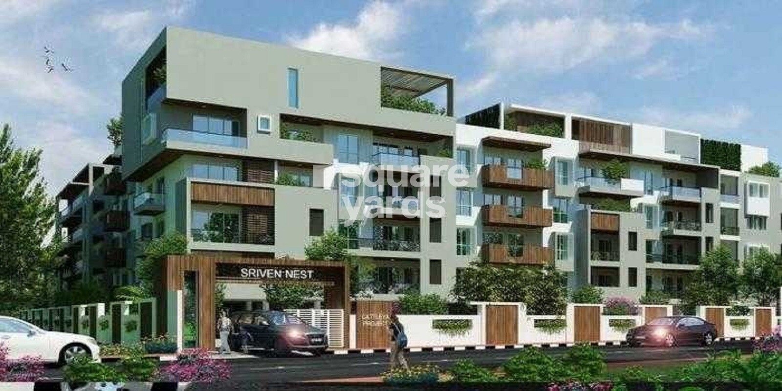 Cattleya Sriven Nest