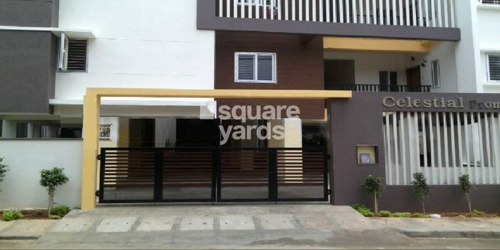 Celestial Celestaral Stars