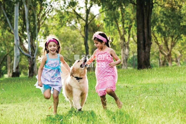 Century Breeze Amenities-Features 9