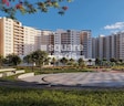 Century Breeze