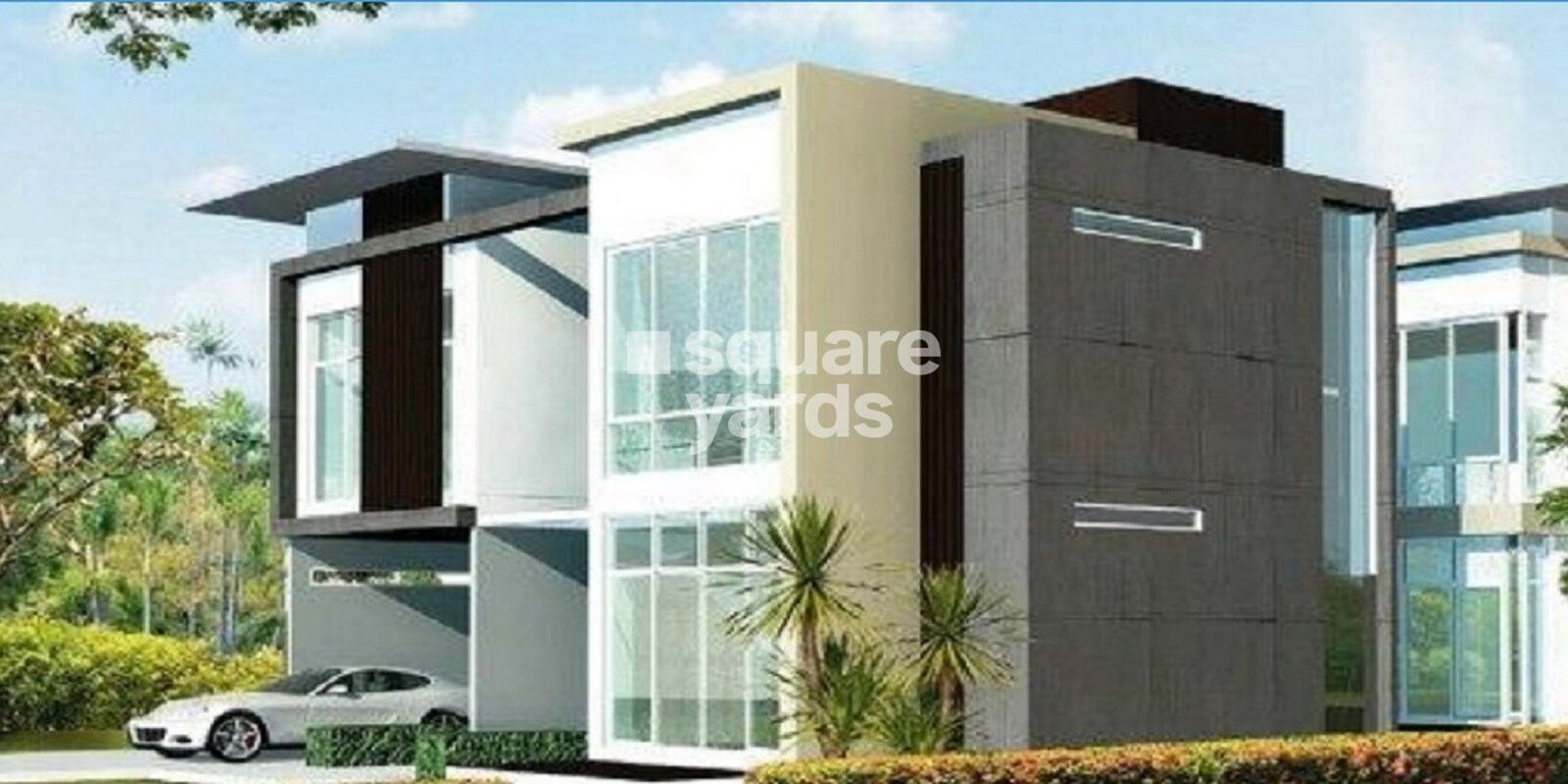 Century Jade Featured Image