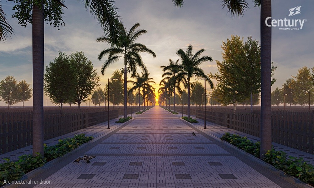 Century Trails Amenities-Features 6