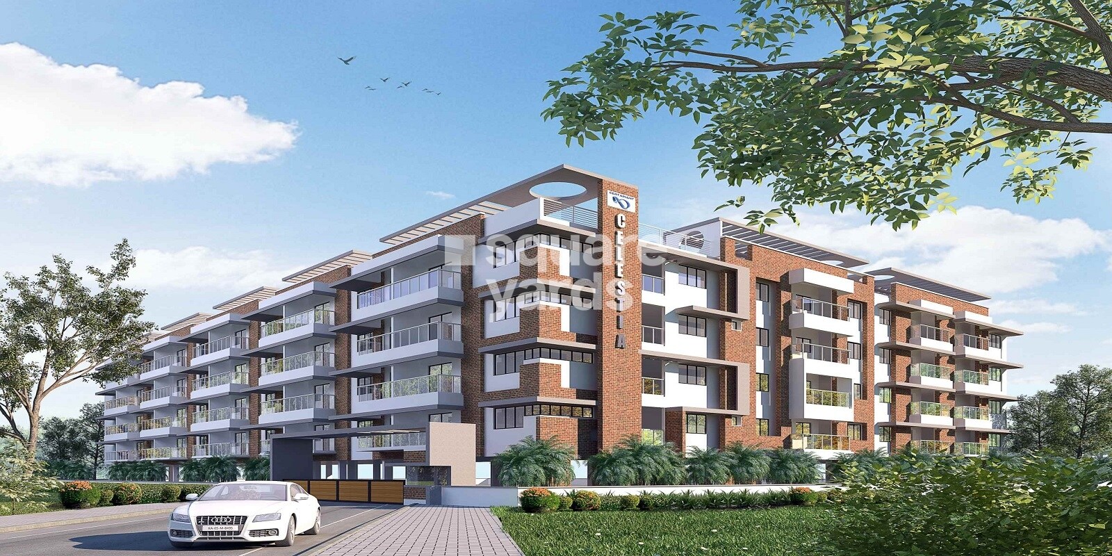 Certainant Celestia Featured Image