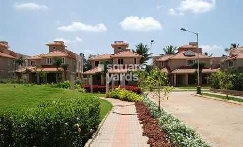 Chaitanya The Grove Tower View