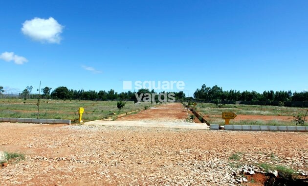 Champion Square Green County