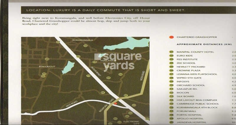 Chartered Grasshopper