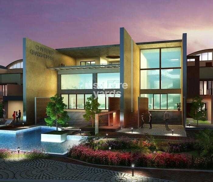 Chartered Grasshopper