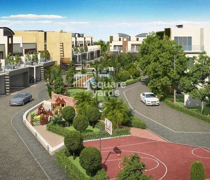 Chartered Grasshopper