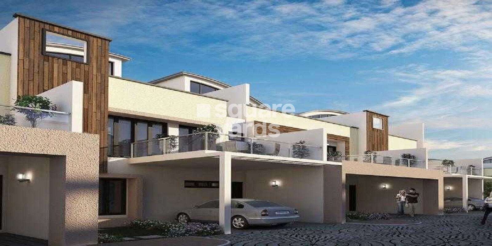 Chartered Grasshopper